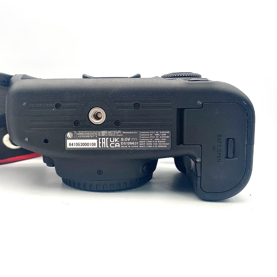 美品 Canon EOS 6D Mark II 本体 充電器 バッテリー セット