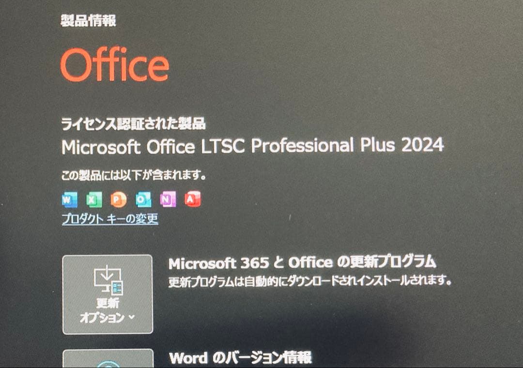 ThinkPad X1 Gen10/高性能12世代CPU/office2024