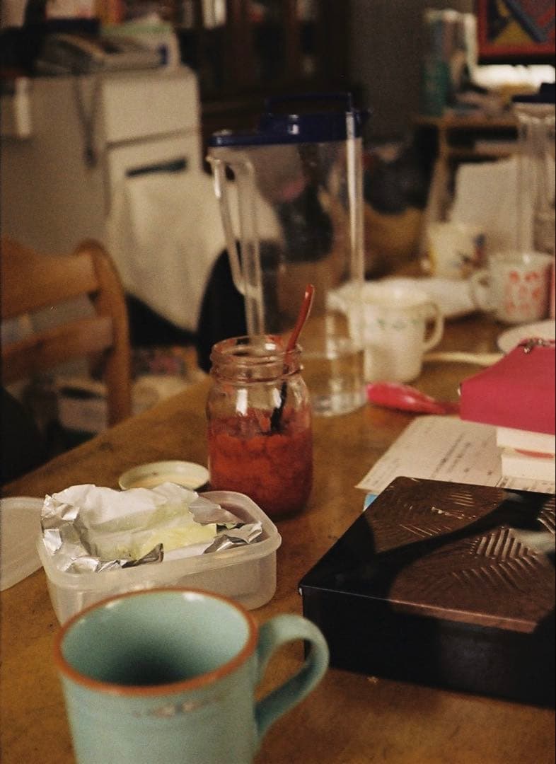 ヤシカ　ハーフ17 作例あり