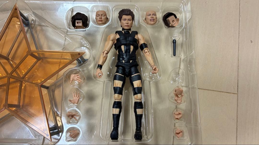 その他 T.M.Revolution SHFiguarts