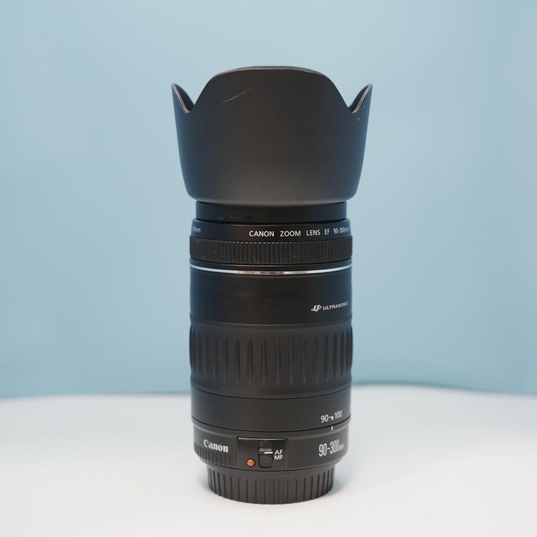 Canon純正 90-300mm 望遠レンズ a4450