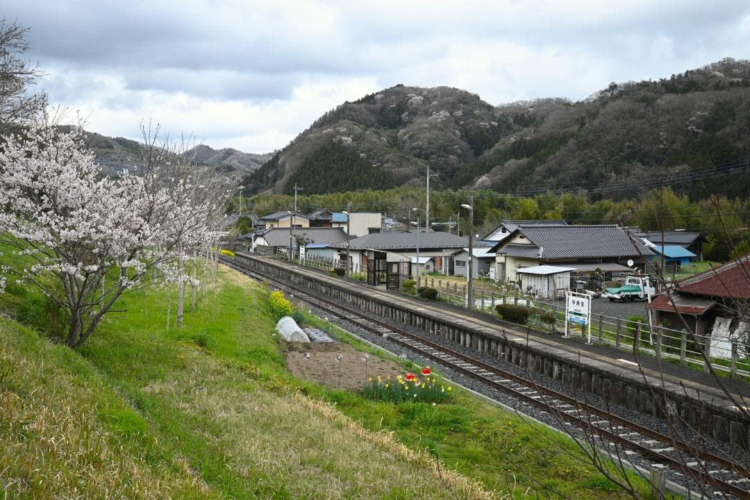 ZマウントAPSC　ダブルズームレンズセット＋α