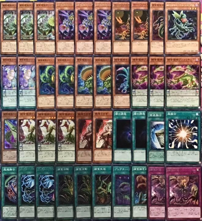 本格構築 【捕食植物】デッキ メイン＆EX15枚＆スリーブ セット