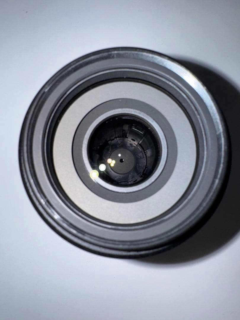 Nikon AF-S DX NIKKOR 55-300mm VR 望遠