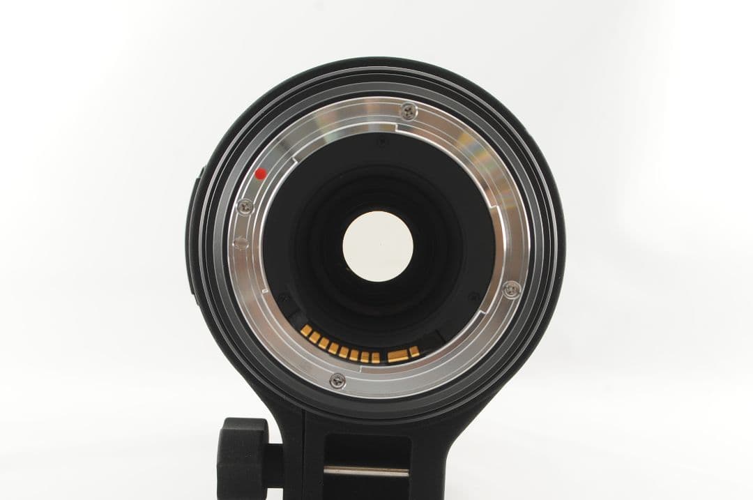 にゃんこじ SIGMA 50-500mm DG OS HSM キヤノン用