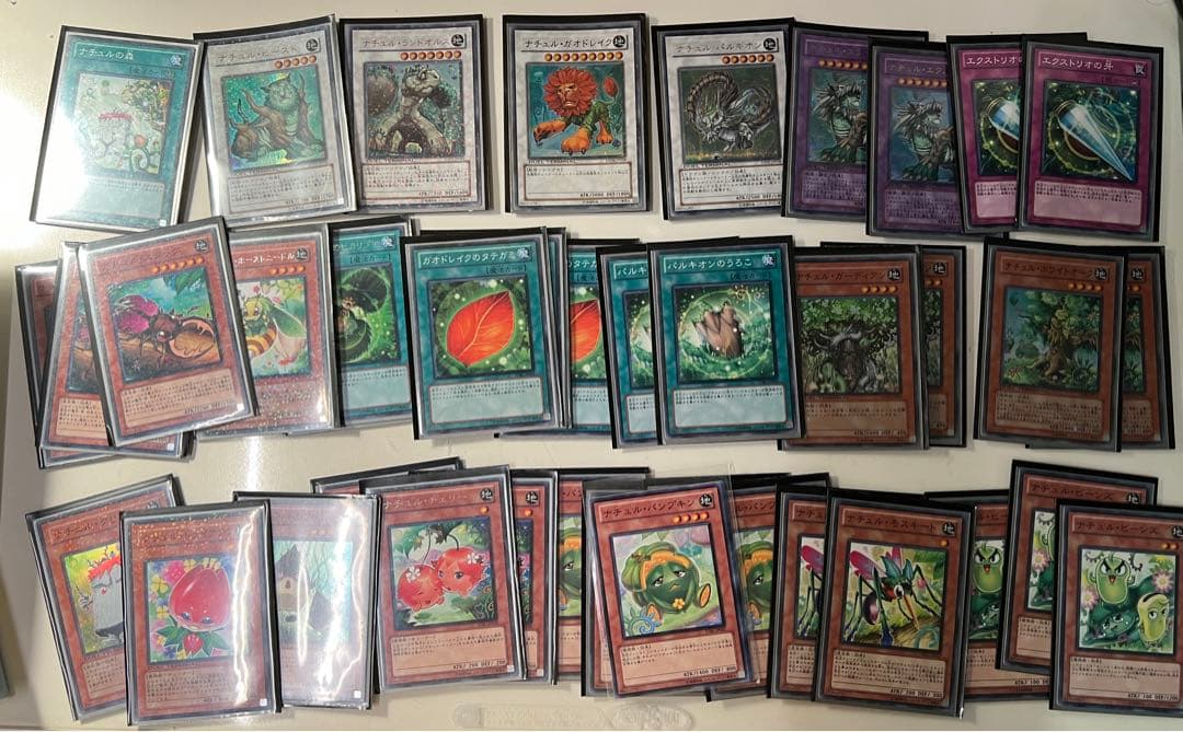 遊戯王 ナチュル・ビースト ランドオルス パルキオン ガオドレイク エクストリオ