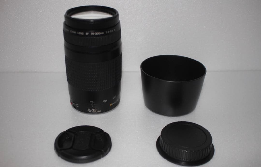 キヤノン望遠レンズ/レンズフード付/Canon EF75-300㎜　II