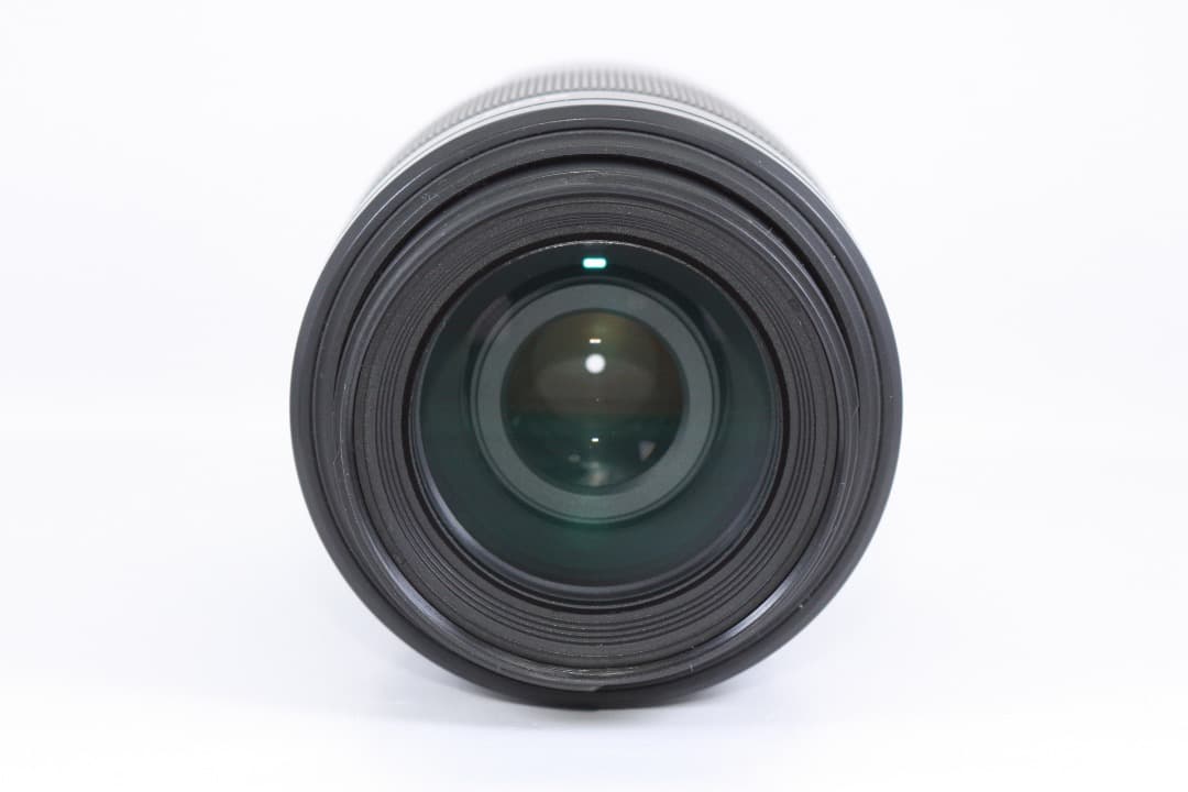 SONY DT 55-200mm F4-5.6 SAM 動作確認済み#133