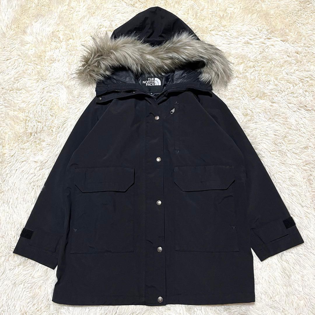 THE NORTH FACE GTX セローマグネトリクライメイトジャケット