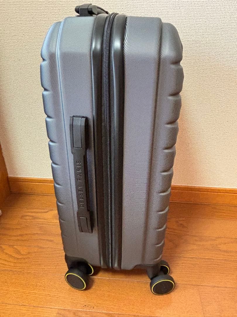 新品DELSY PARIS 荷物