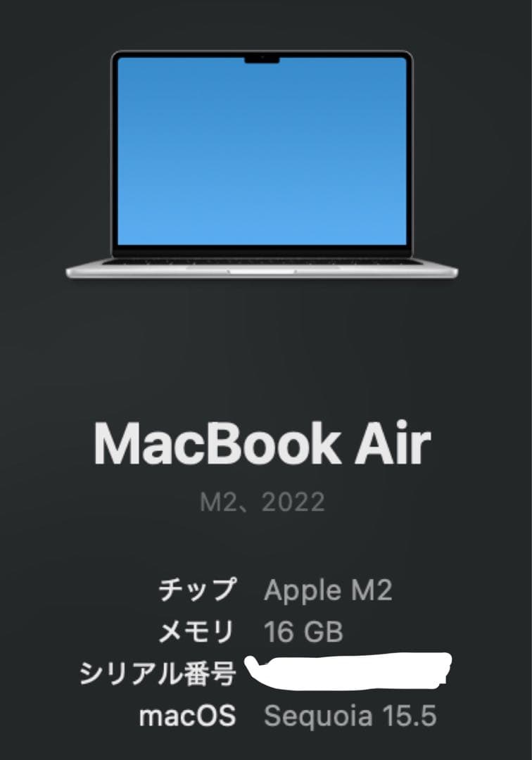 【2025年購入】MacBook Air M2 2022 16GB 256SSD