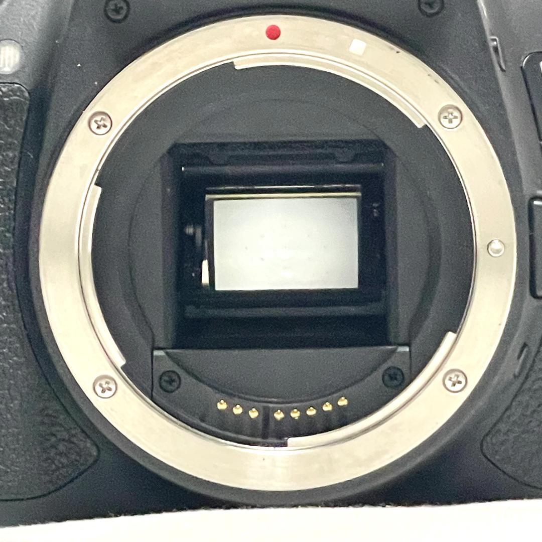 初心者向け❣️ Canon EOS Kiss X7i 200mm F4.5 望遠