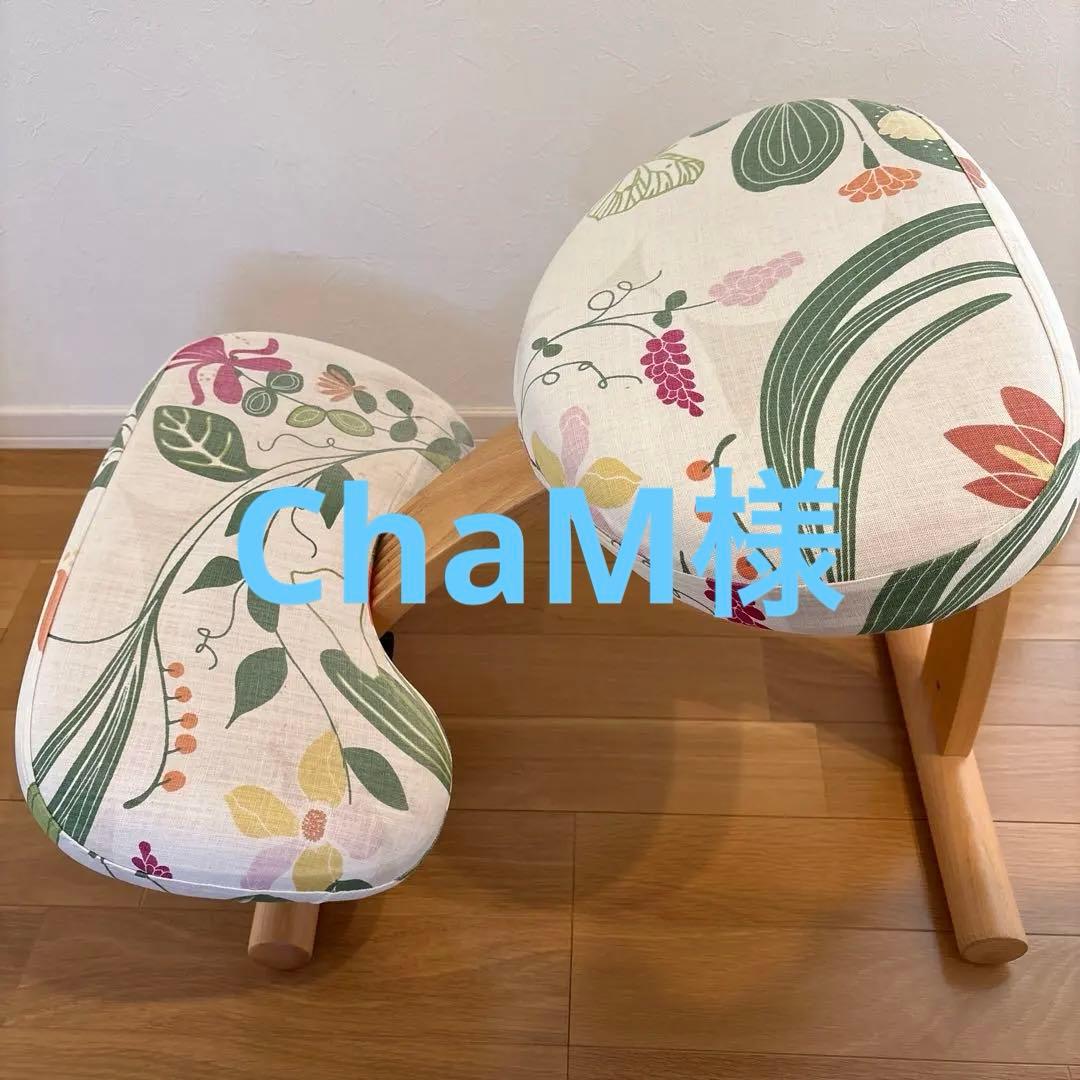 バランスイージー balans Easy 正規品