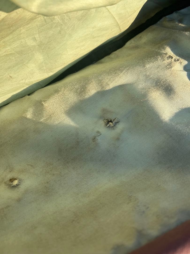 SLD ace trucks 等　万能　コンプリート スケボー 8.25