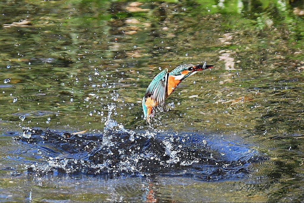 NIKON D500 バッテリーグリップ＋予備バッテリー2本＋α