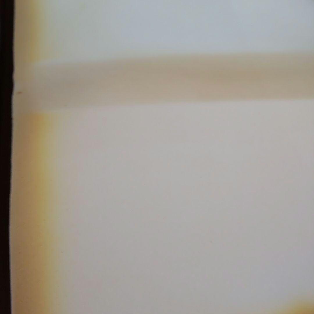 トゥルースリーパー 低反発マットレス 専用内カバー付き セミダブル