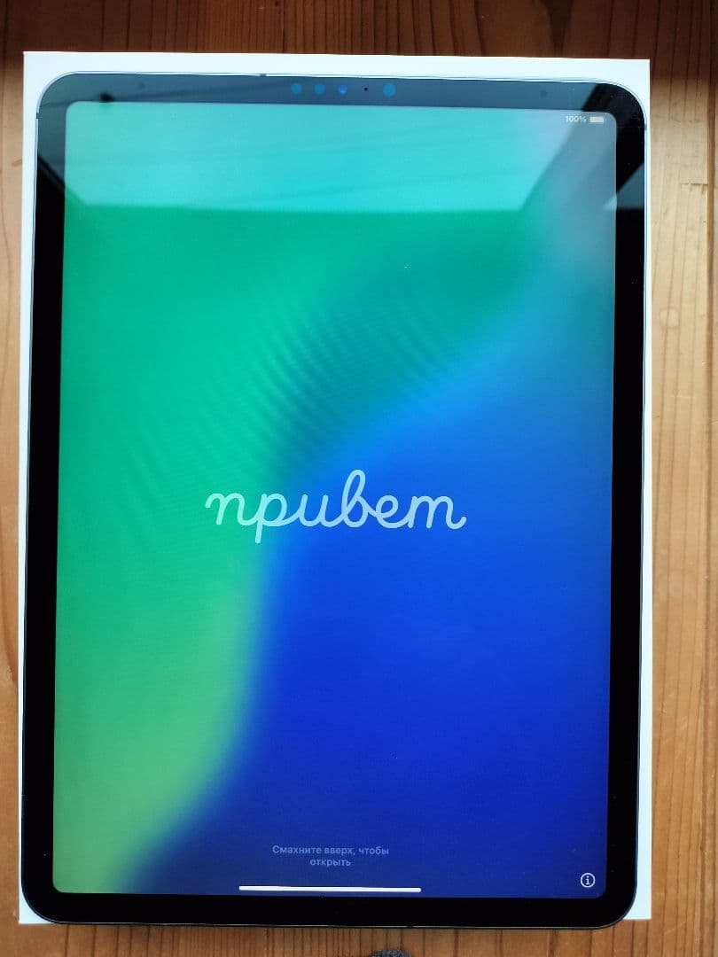 iPad Pro 11インチ 第1世代 セルラー付 256GB　ジャンク