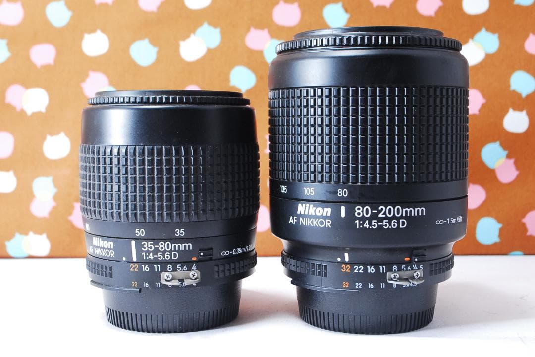 ✨超豪華新品級✨ショット数1748回✨Nikon D50 ダブルレンズセット