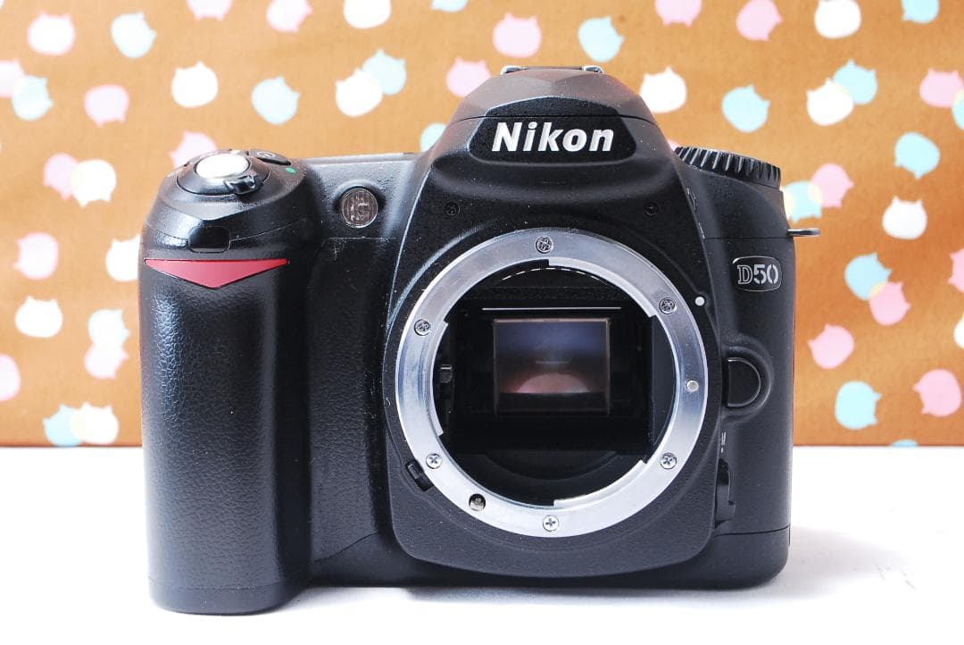 ✨超豪華新品級✨ショット数1748回✨Nikon D50 ダブルレンズセット