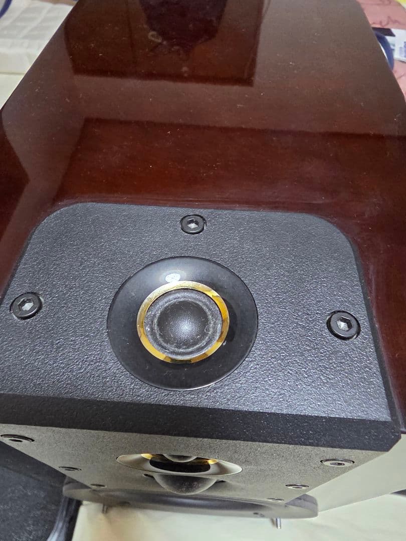 SONY SS-HW1 スピーカー