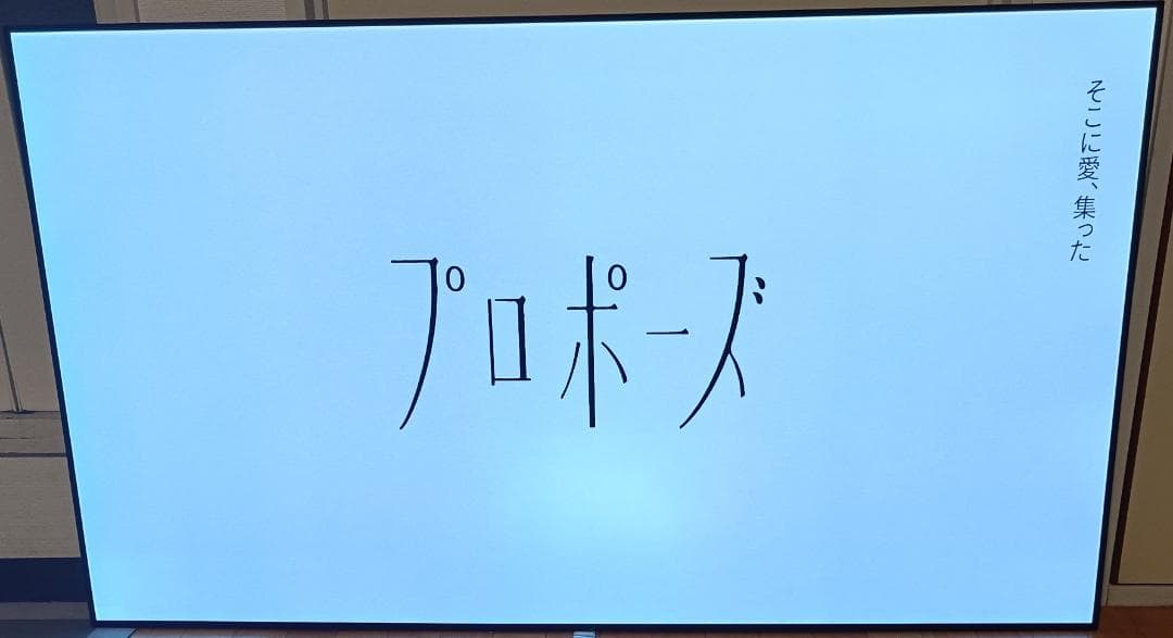美品 65V型 LG貼るテレビ OLED65W8P 最上位モデル 定価87万円