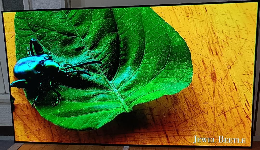 美品 65V型 LG貼るテレビ OLED65W8P 最上位モデル 定価87万円