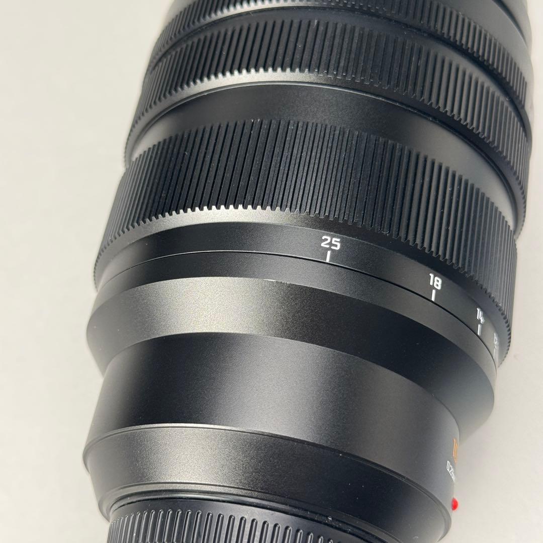 【美品】LUMIX LEICA DG 10-25mm F1.7