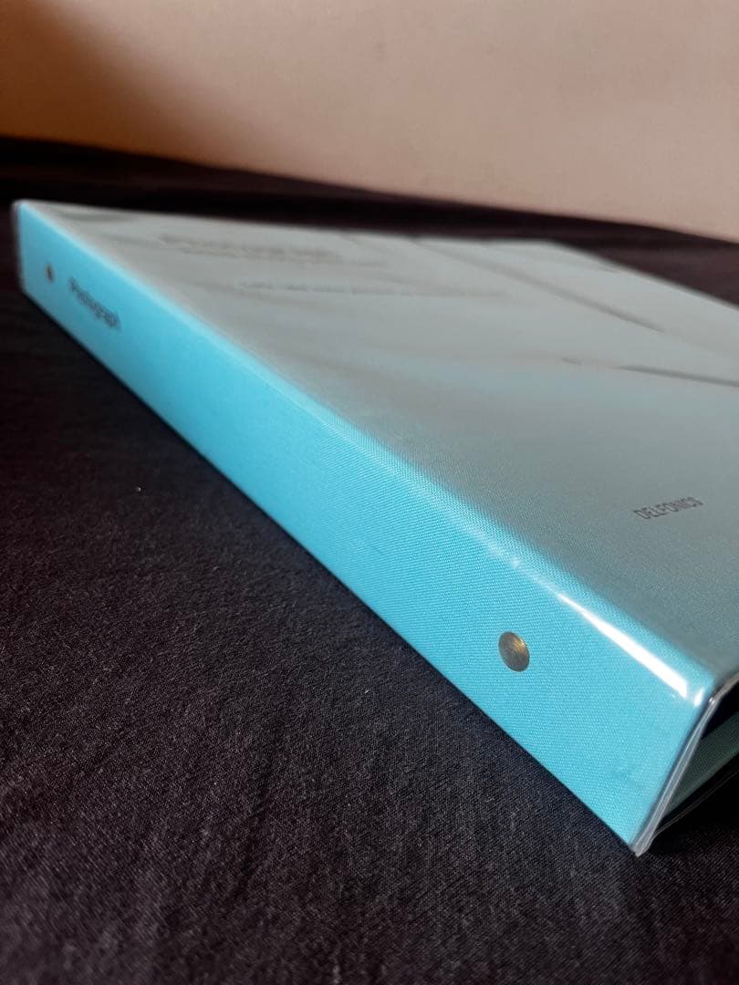 廃盤品　デルフォニックス　アルバムＬサイズ5冊レフィルセット