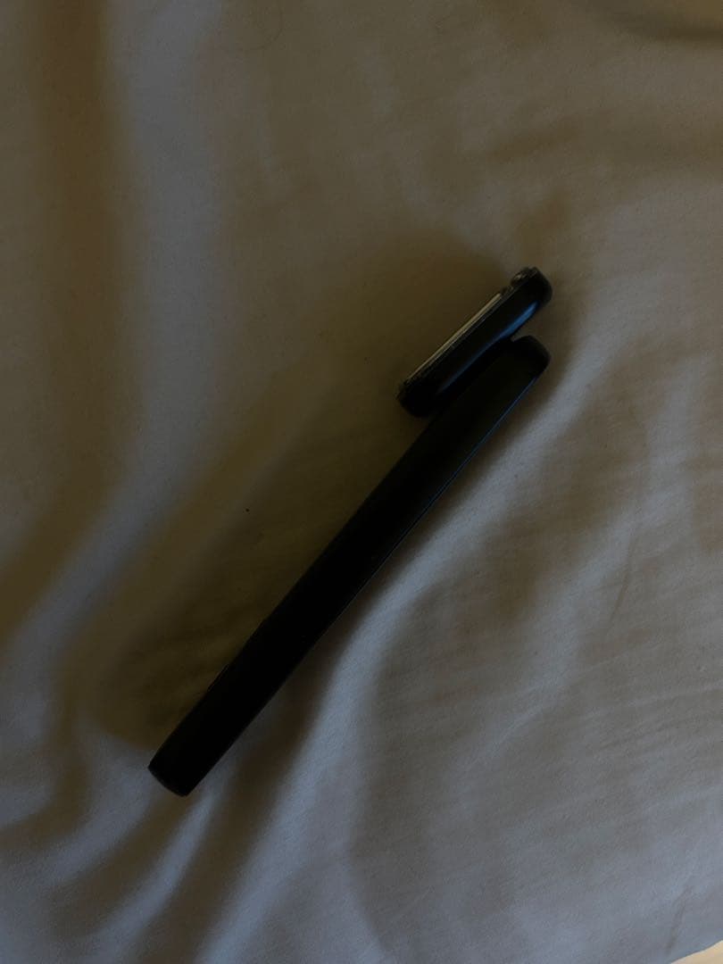 DISM EMS EER 美顔器 アンファー　ディズム