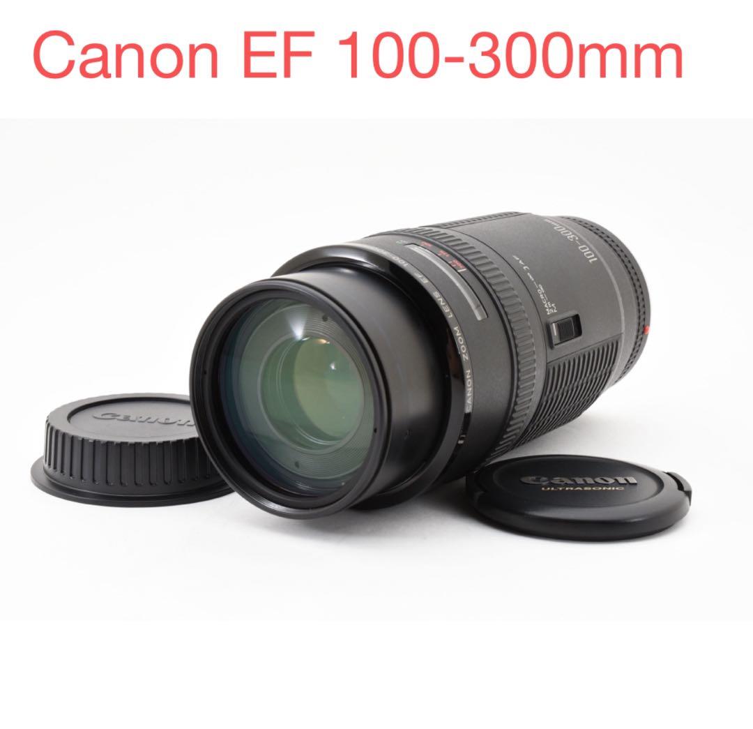 Canon EF 100-300mm ズームレンズ/キヤノンEFマウント