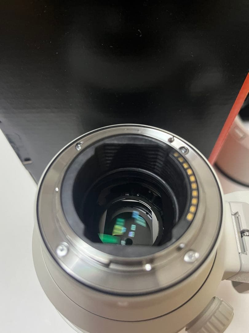 저*a様 SONY 70-200mm f2.8 GM OSS II