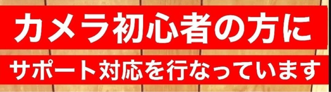 即決OK！カメラ初心者OK！SONYミラーレスカメラをお持ちの方におすすめレンズ