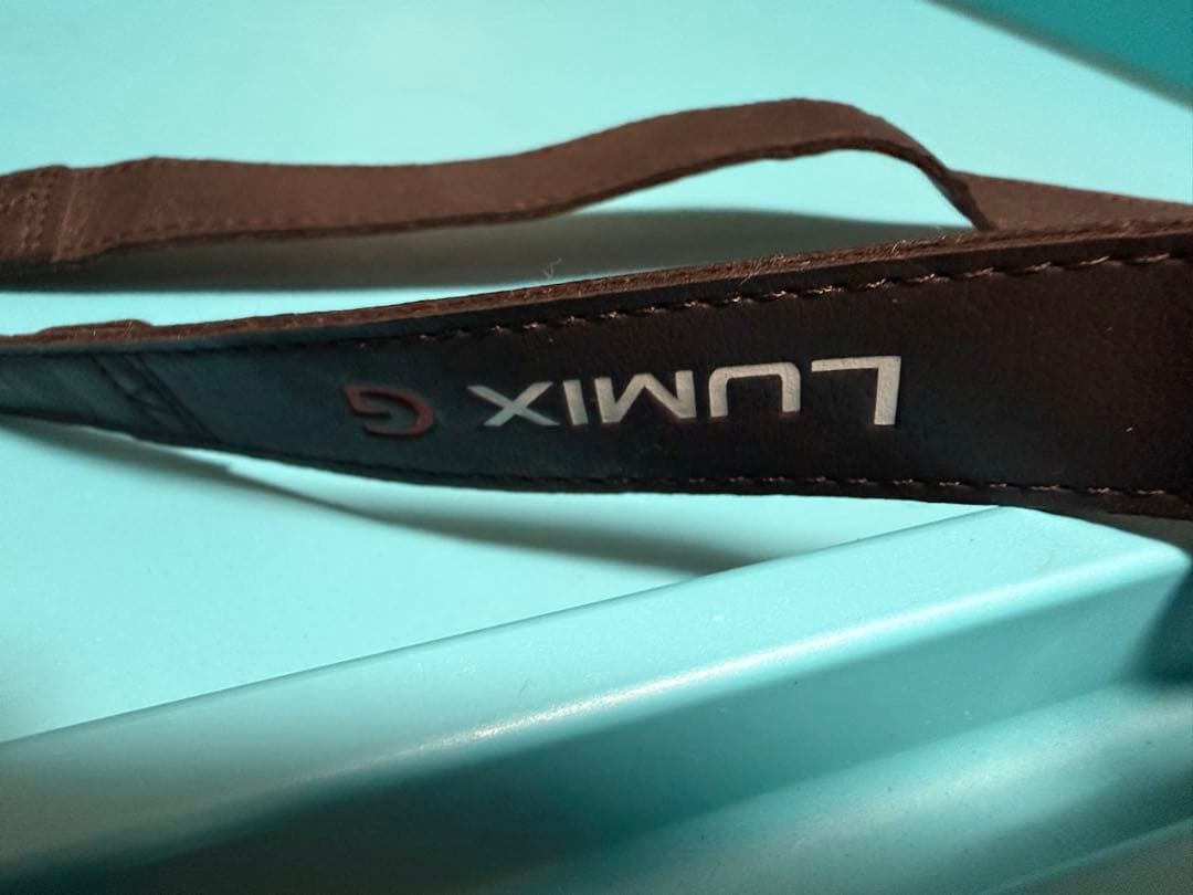 Panasonic DMC-GX7MK2 シルバー