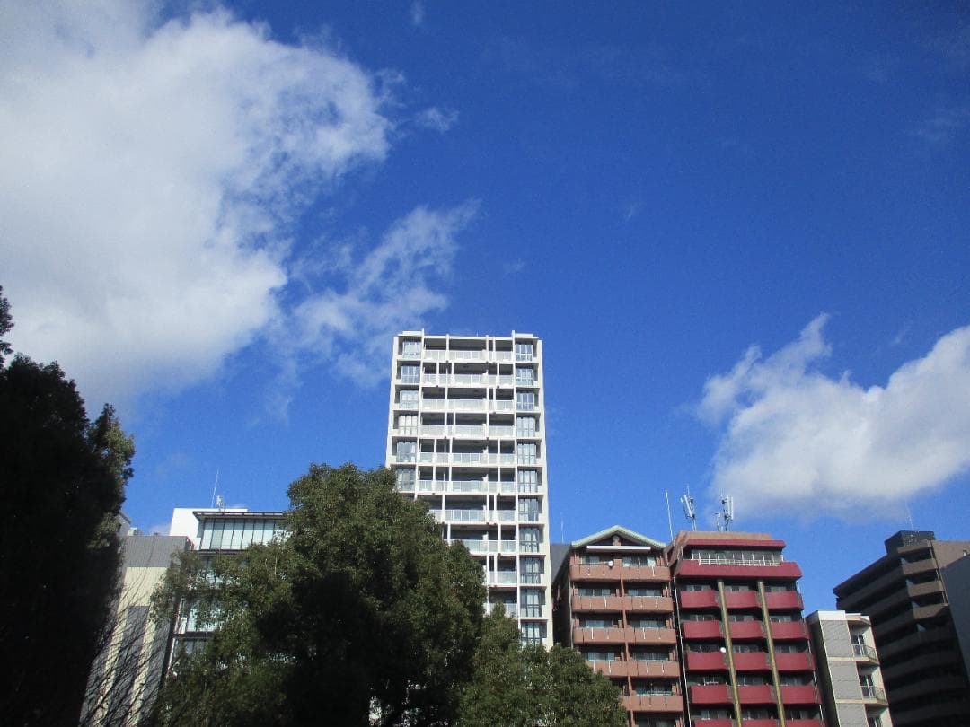 【スマホ転送OK】キャノン Canon IXY 200 シルバー デジタルカメラ