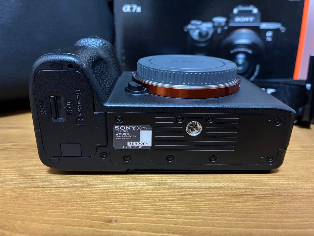 SONY α7Ⅲ+α (エブリデイスリング6L+leofotoL型プレートなど)