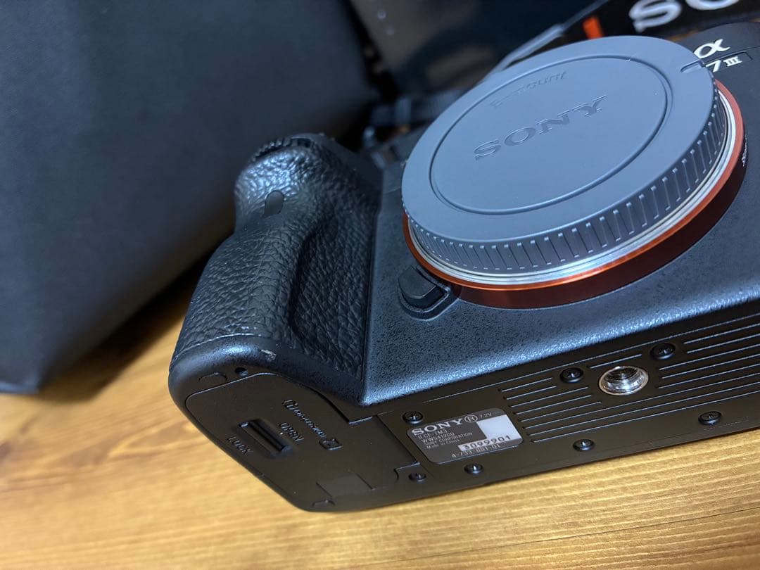 SONY α7Ⅲ+α (エブリデイスリング6L+leofotoL型プレートなど)