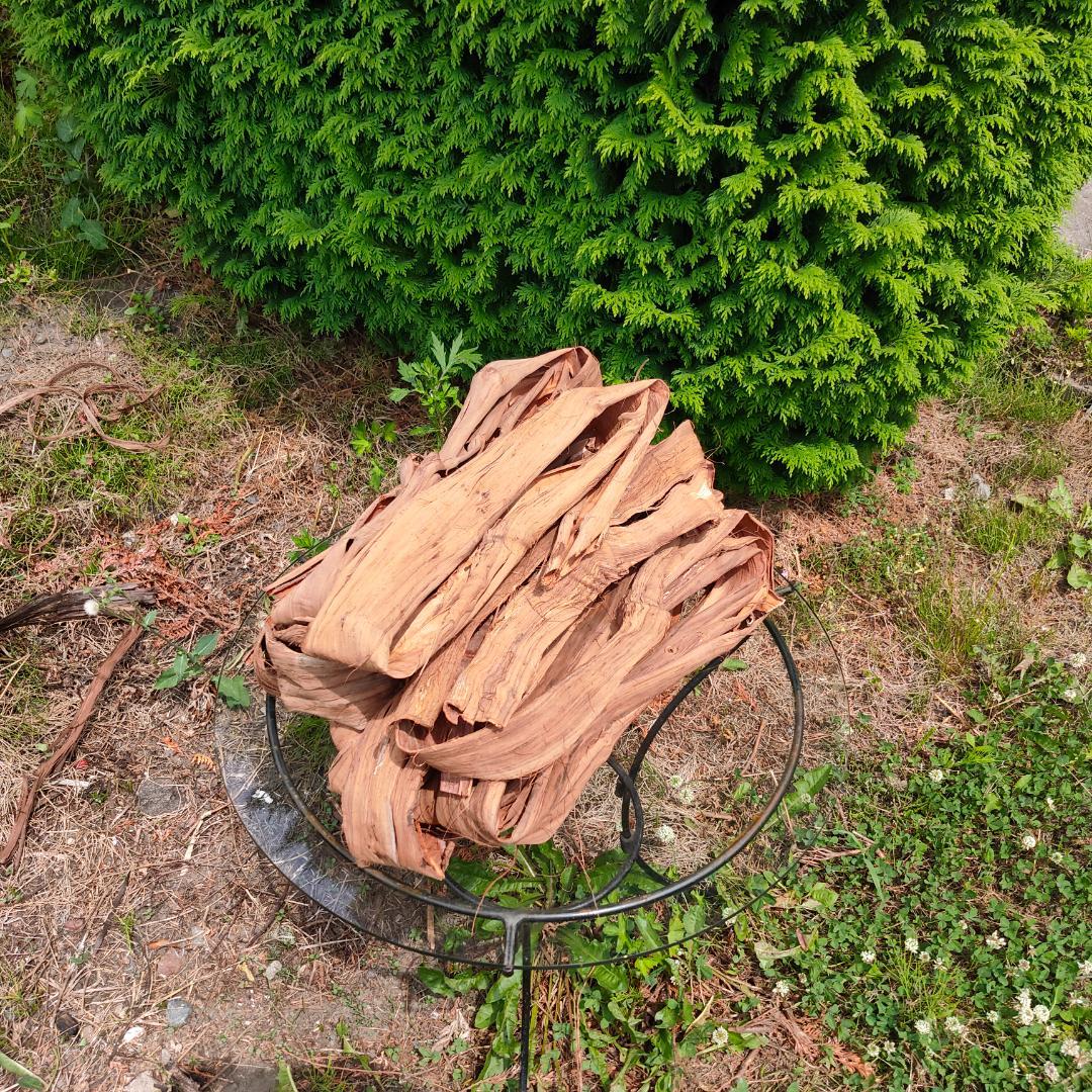 青森岩木山産 山葡萄 皮 樹皮 約2kg