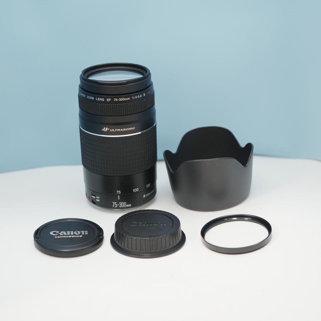 Canon純正 75-300mm 望遠レンズ 美品 a4553