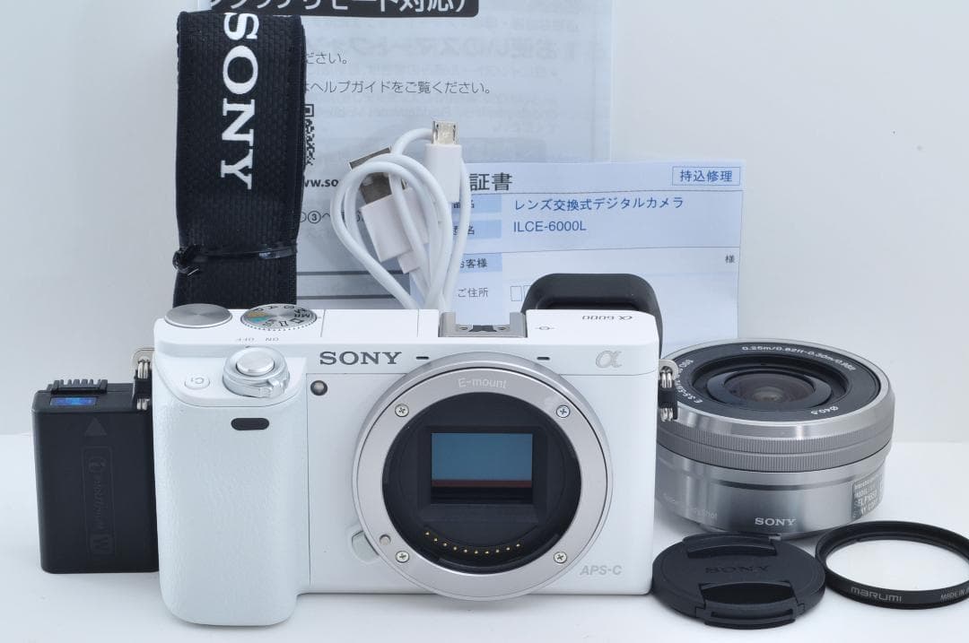 ソニー SONY ILCE-6000 16-50mm ≪シャッター5700回≫