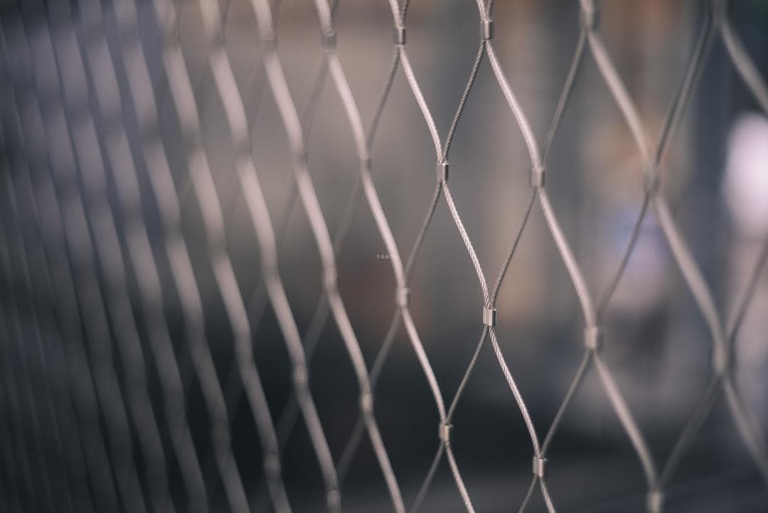 taureich様Summicron 50mm F2 1st 前期 固定鏡胴