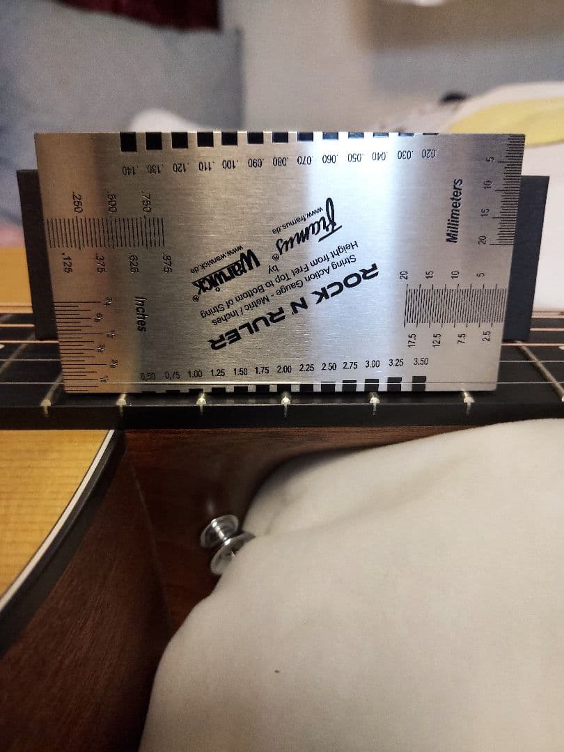 ギター 311 Martin DJR-10E