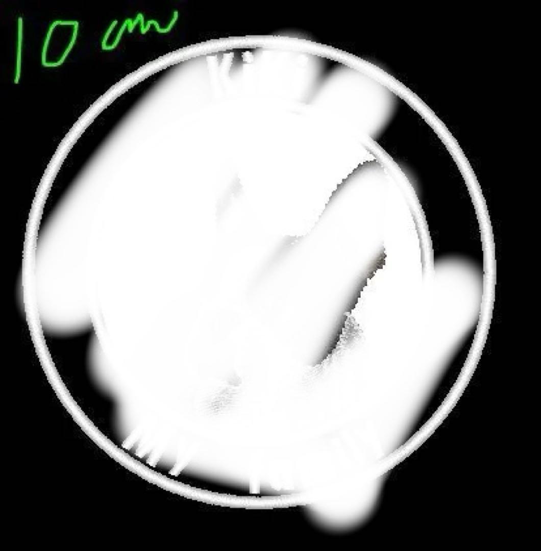 オリジナル　Doggy マジックテープタイプ