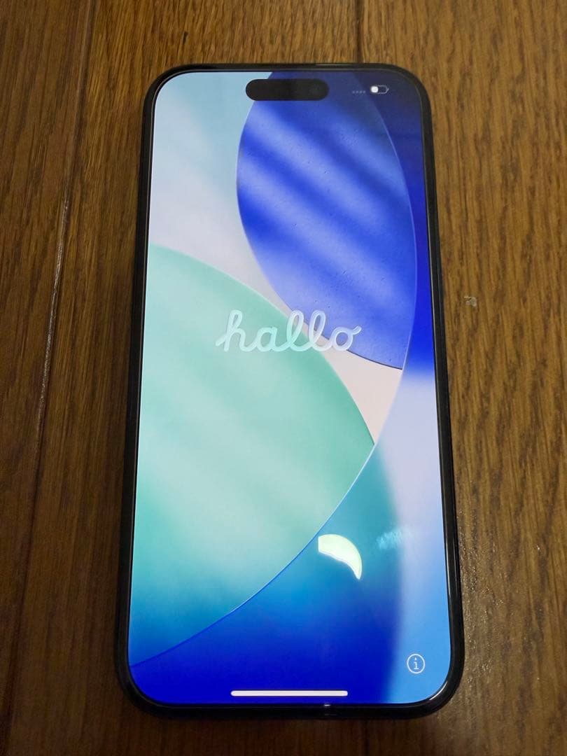 Apple iPhone 15 ブラック 本体 充電ケーブル付