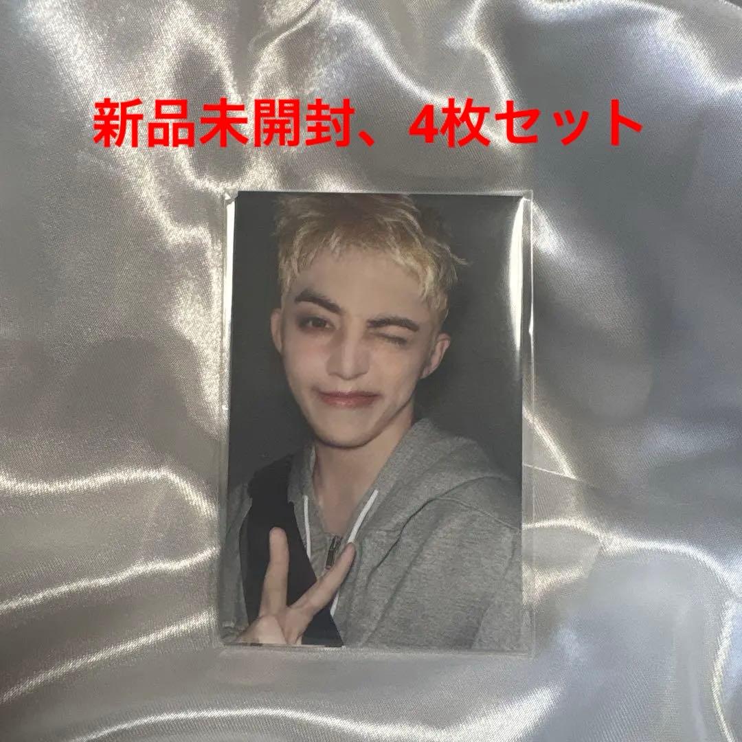 SEVENTEEN セブチ バパケ エスクプス トレカ