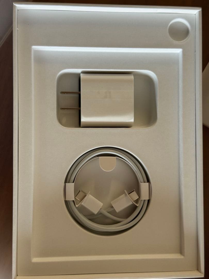 iPad mini 第6世代 本体　256gb cellular