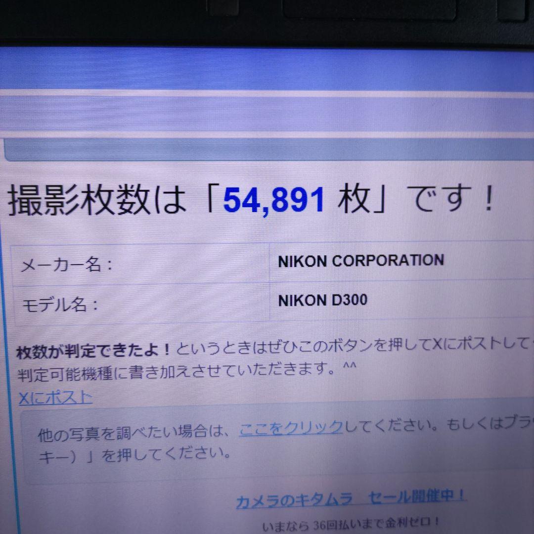 Nikon D300 デジタル一眼レフカメラ