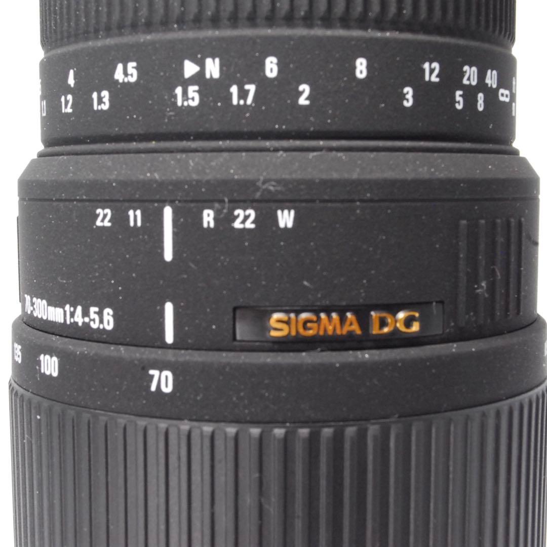 ✨感動を捉える✨SIGMA DG 70-300㎜✨ニコン用✨超望遠レンズ✨