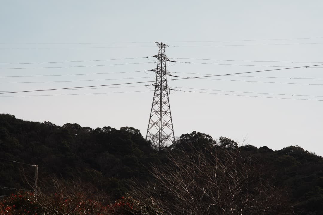 【極美品】オリンパス Zuiko Auto-T 100mm F2.8 814