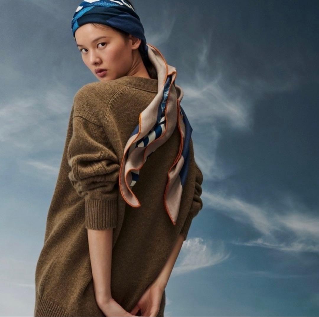 【希少！早い者勝ち！】HERMES エルメス カレジェアン 空想の鞍 ブルー系