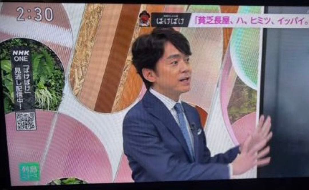 FUNAI 24V デジタルハイビジョン液晶テレビ FL-24H1040